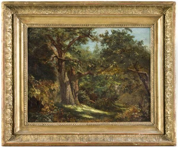 Vieux Chene Dans Un Sous-bois Oil Painting by Leon Louis Riesener