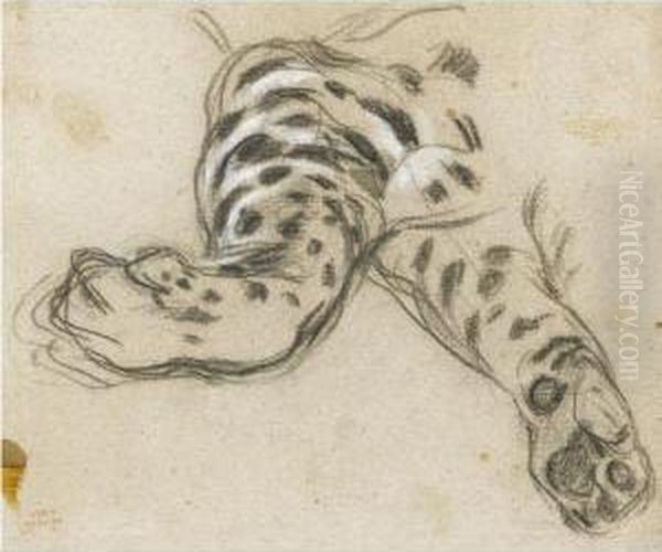 Study Of A Leopard's Paws Oil Painting by Leon Louis Riesener