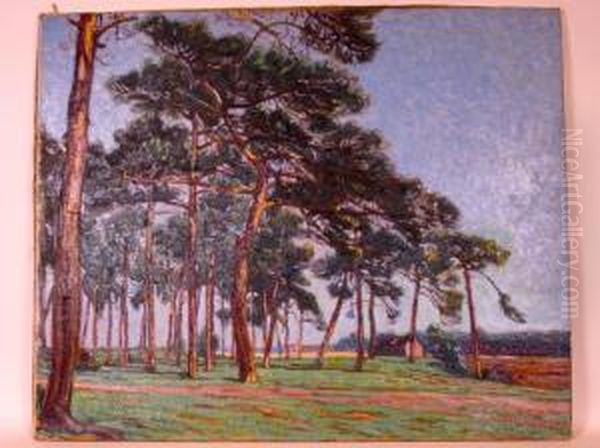 Bassin D'arcachon, Les Pins Pres De La Hume Oil Painting by Pierre Gaston Rigaud