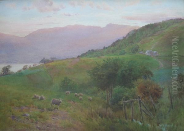 Sheep At Sundown Oil Painting by Cuthbert Rigby