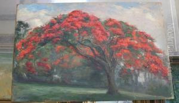 Poinciana Oil Painting by Richard Godfrey Rivers