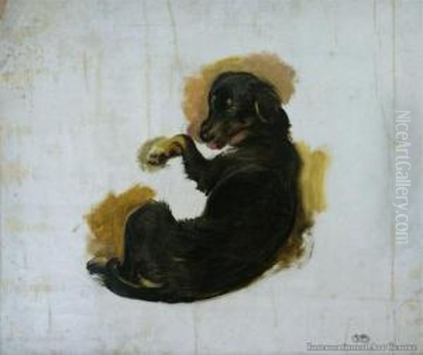 Study Of A Dog Oil Painting by Briton Riviere