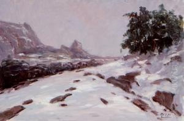 Paisaje Nevado Oil Painting by Antonio Rizzi