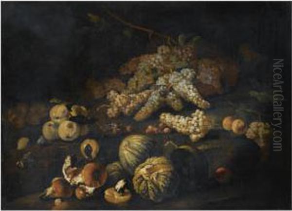 Still Life With Mushrooms, Bunches Of Grapes, Melons And Otherfruit Arranged Over Rocky Ground Oil Painting by Marco Antonio Rizzi