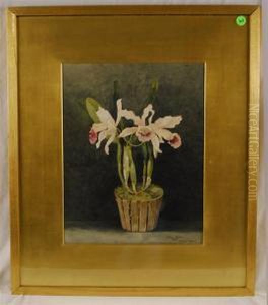 Orchids Oil Painting by Ellen Robbins