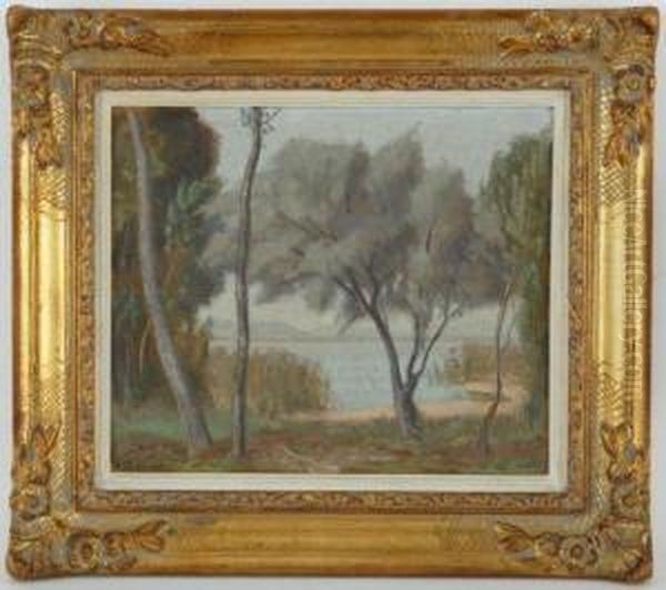 Paysage Lacustre Oil Painting by Theophile Paul Robert