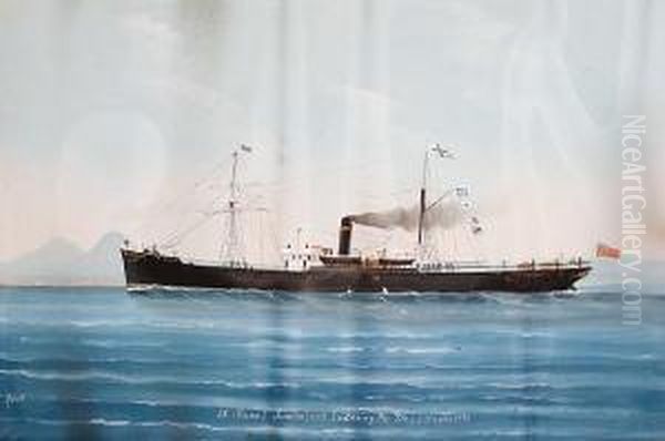 S.s. Runo Of Sunderland Entering The Bay Ofnaples Oil Painting by Luigi Roberto