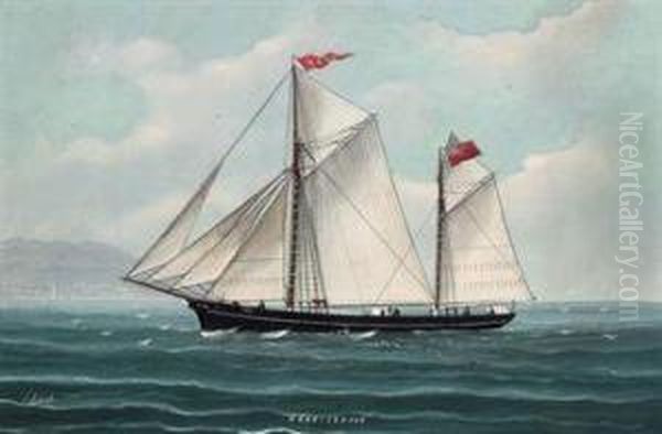 The Jersey Ketch Oil Painting by Luigi Roberto