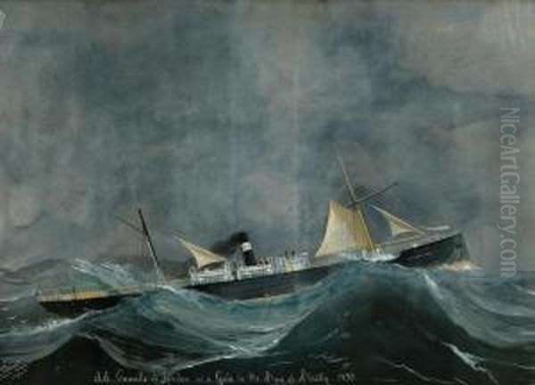 S. S. Grenville Oil Painting by Luigi Roberto