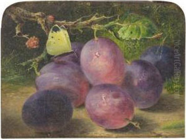 Still Life Of Plums With A Cabbage White Oil Painting by Benjamin Roberts