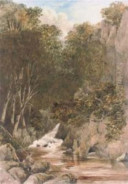 The Falls Pool Oil Painting by R.R. Roberts