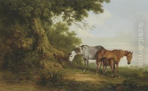 Mares And A Foal In A Wooded Landscape Oil Painting by Thomas Roberts