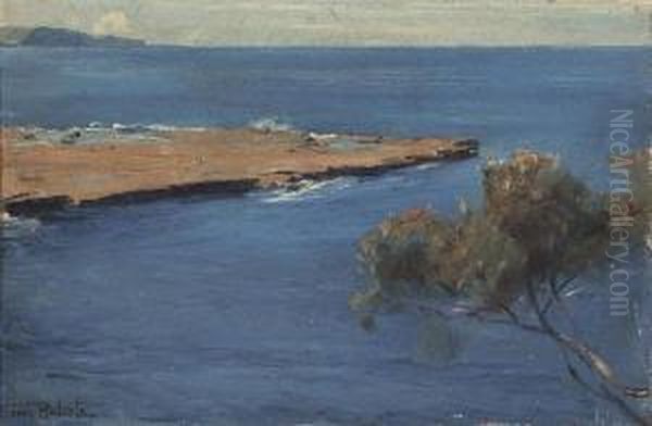 (coastal Scene, Nsw) Oil Painting by Tom Roberts