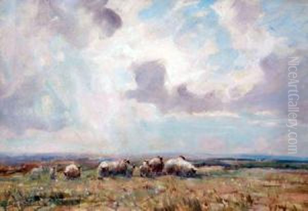 Sheep Grazing In An Open Landscape Oil Painting by David Thomas Robertson