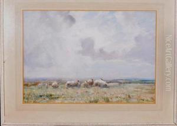 Sheep On A Moor In Springtime Oil Painting by David Thomas Robertson