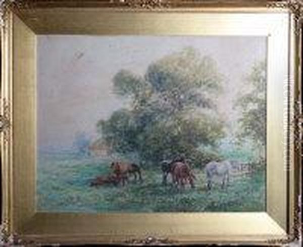 Horses In A Field Oil Painting by David Thomas Robertson