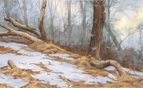 In Winterglades Oil Painting by David Thomas Robertson