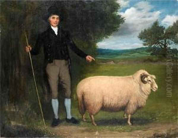 The Prize Ewe Oil Painting by G. F. Robertson