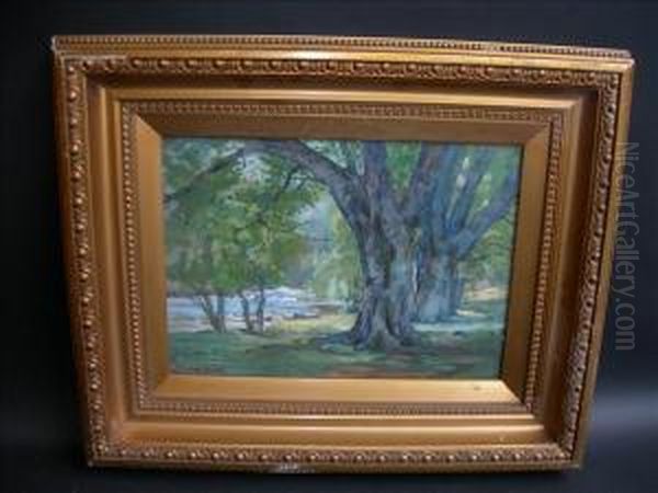 The Old Oaks Watercolour Signed To Lower Left 27cm X 38cm Oil Painting by James Mcculloch Robertson