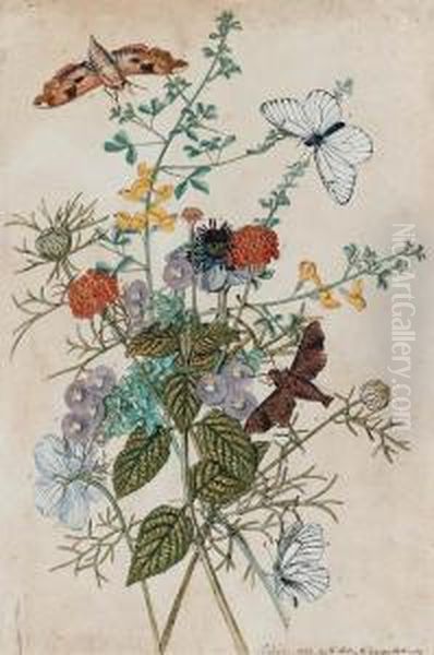 A Pair Of Watercolours Of Flowers And Insects Including :palamedes; Almana Butterflies; Berry-like Heath, Hoardy-leavedcistus; Lantana; Prickly Broom And Spanish Fennel Oil Painting by Thomas Robins