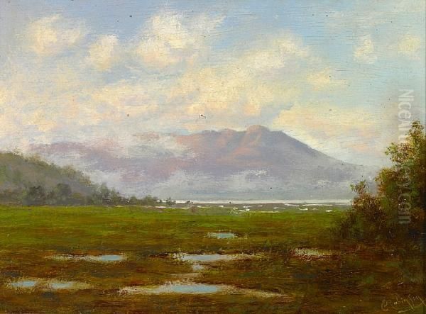 Tamalpais From The Marshes Oil Painting by Charles Robinson