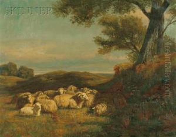 Sheep In A Field Oil Painting by Thomas Harris Robinson