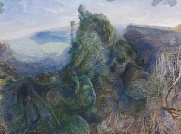 Tweed Valley Rainforest Ridge And Beechmont Oil Painting by William Robinson