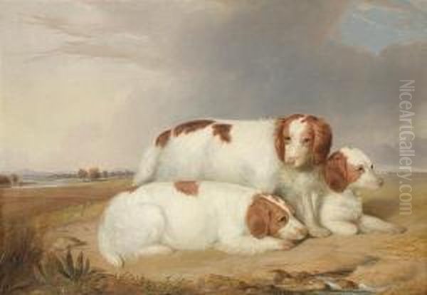 A Portrait Of Three Red And Whitespaniels Oil Painting by William Robinson