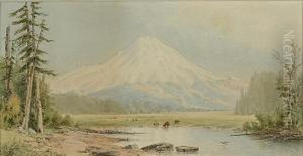 Mt. Shasta Oil Painting by Cleveland Salter Rockwell