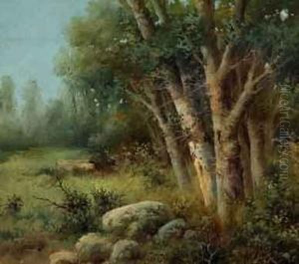 Paisaje Oil Painting by Eugenio Oliva Rodrigo