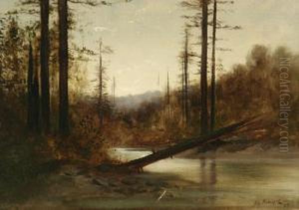 The Fallen Tree Oil Painting by Alfred C. Rodriguez