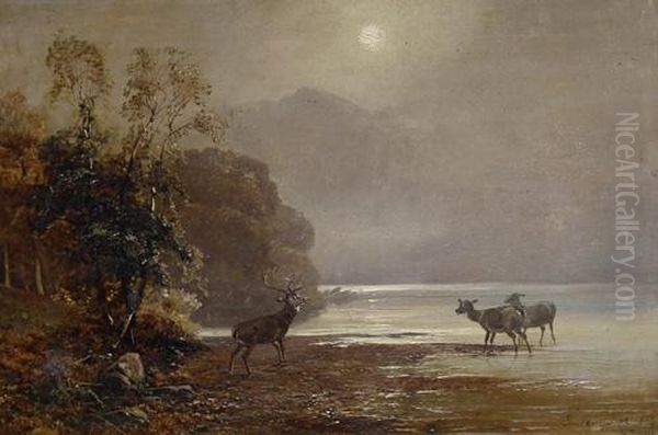 Deer By A Loch Oil Painting by Clarence Roe