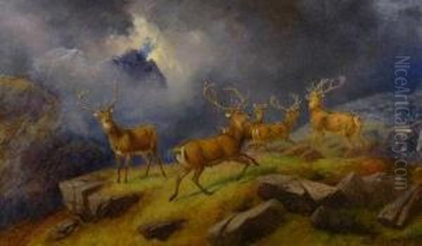 Red Deer In The Highlands Oil Painting by Robert Henry Roe