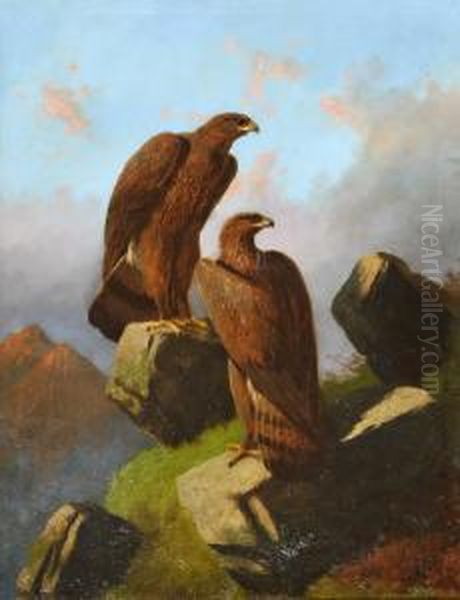 Two Golden Eagles Perched Upon Rocks Oil Painting by Robert Henry Roe