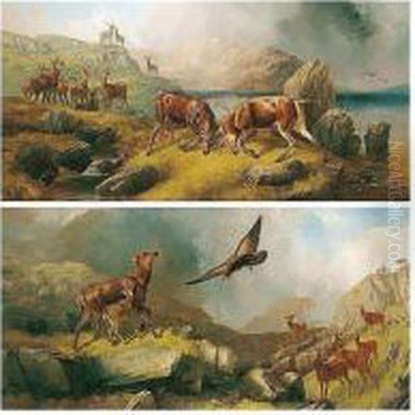 Stags Rutting; Deer In The Highlands Oil Painting by Robert Henry Roe