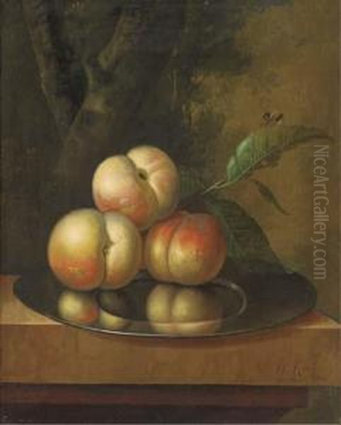 Peaches And A Bee On A Pewter Platter On A Marble Ledge, In A Wooded Landscape Oil Painting by Johan Christian Roedig