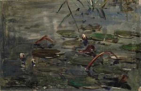 Waterlillies Oil Painting by Willem Roelofs