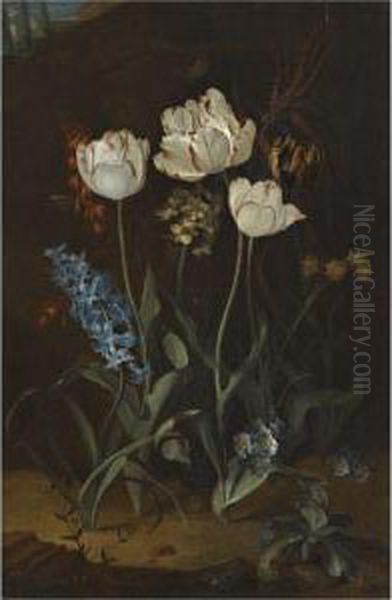 Still Life With Tulips And Hyacinth Oil Painting by Coenraet Roepel