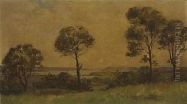 Roches Point From Glenbrook Oil Painting by Edward James Rogers