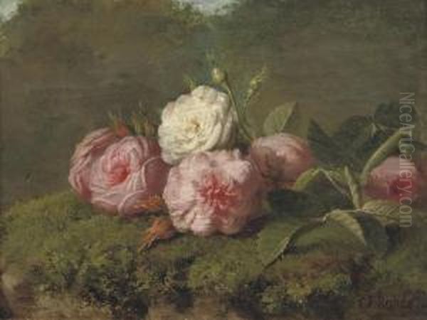 Pink And White Roses Oil Painting by Carl Ii Rohde