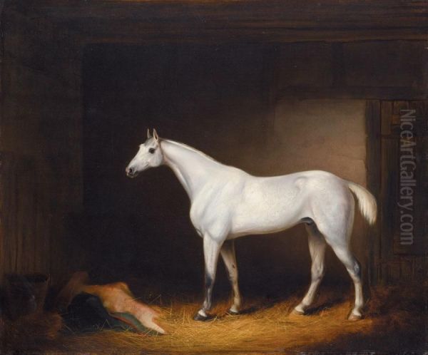 A Grey Racehorse In A Stable Oil Painting by Edmund Rolfe