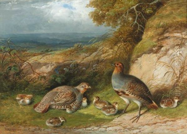 Partridge With Their Chicks In A Landscape Oil Painting by F. Rolfe