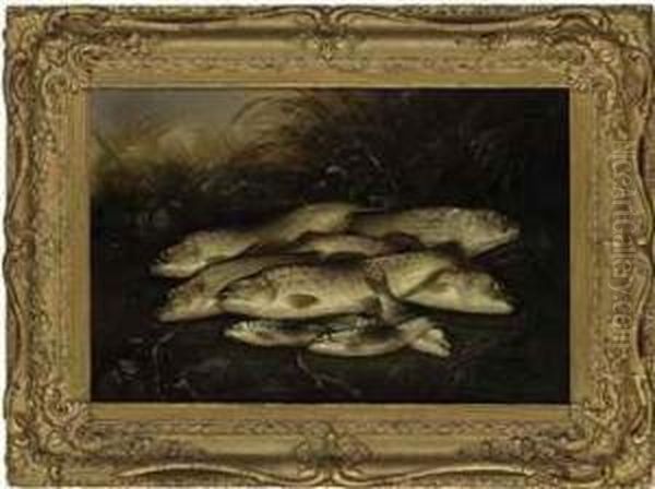 Trout And Grayling Caught At Salisbury Oil Painting by Henry Leonidas Rolfe