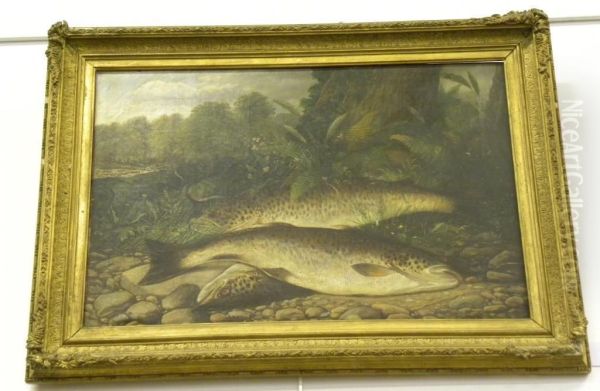 Salmon On A Riverbank Oil Painting by Henry Leonidas Rolfe