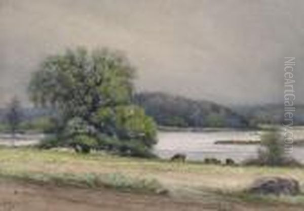 Cattle Grazing By A River Oil Painting by Joseph Thomas Rolph