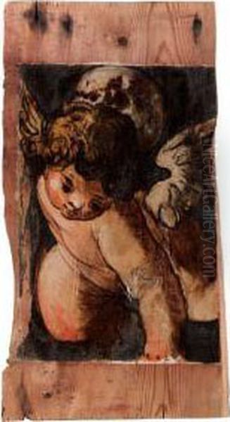 Putto In Volo Illuminato Dallaluna by Girolamo Romanino