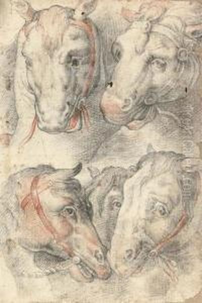 Five Studies Of A Horse's Head Oil Painting by Cristoforo Pomarancio (Roncalli)