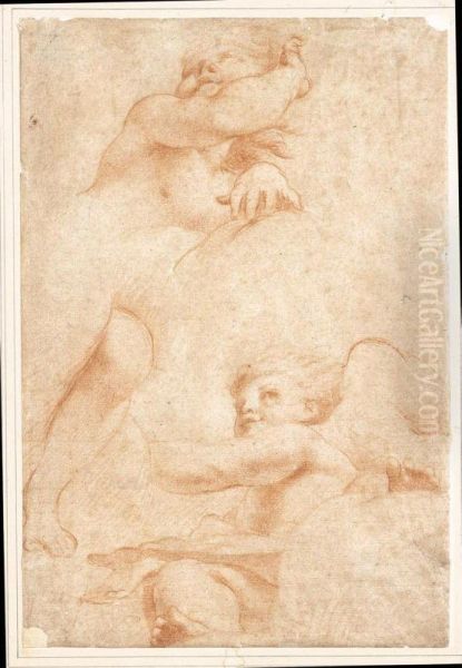 Studi Dal Correggio: Due Putti Oil Painting by Francesco Maria Rondani