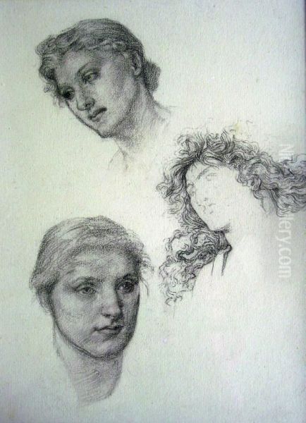 Three Studies Of Heads Oil Painting by Thomas Matthew Rooke