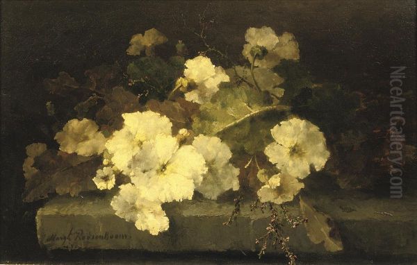 Still Life With Primroses On A Stone Ledge Oil Painting by Margaretha Roosenboom